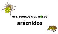 Arácnidos